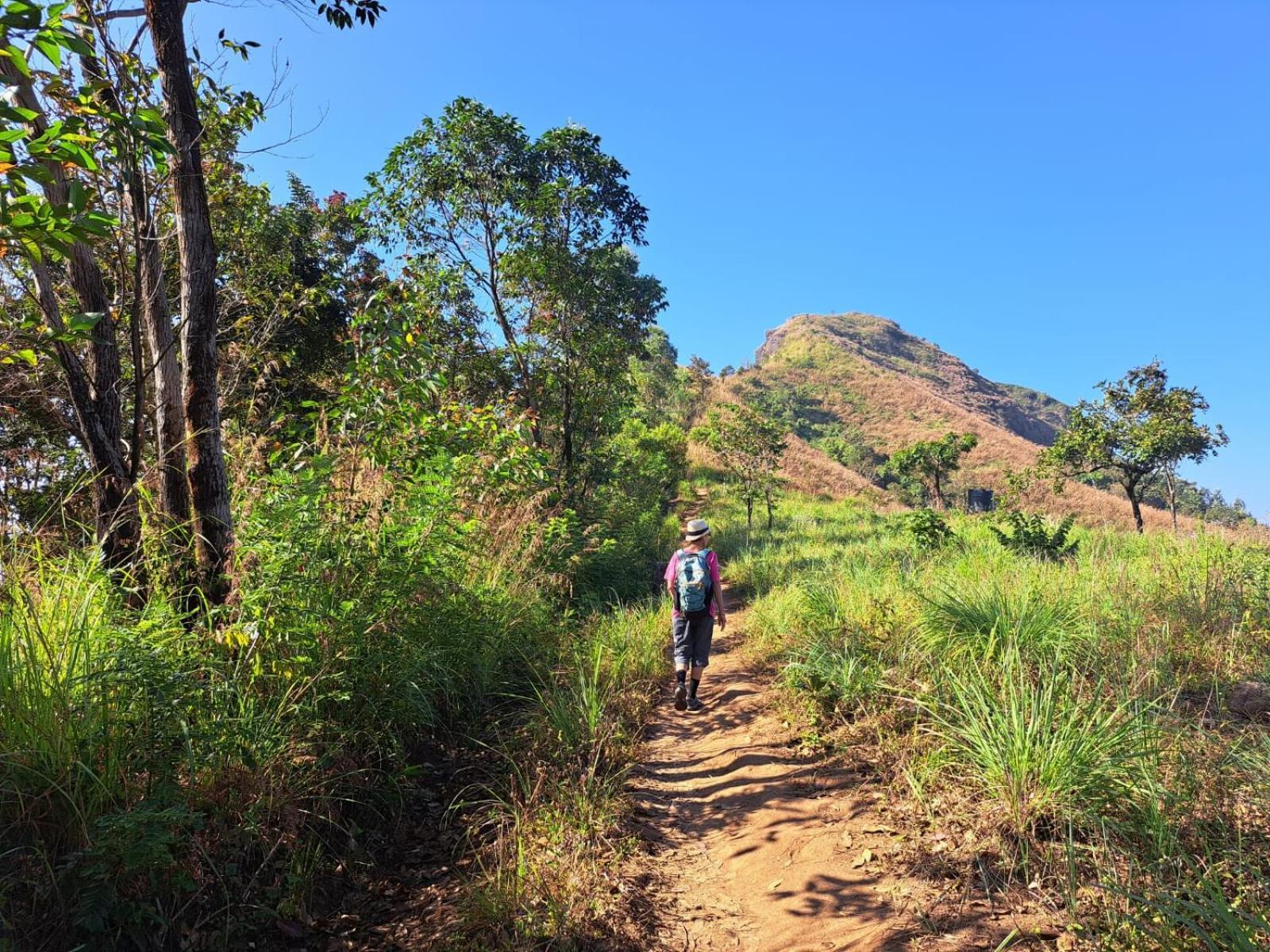 Munnar Village Homes ภายนอก รูปภาพ