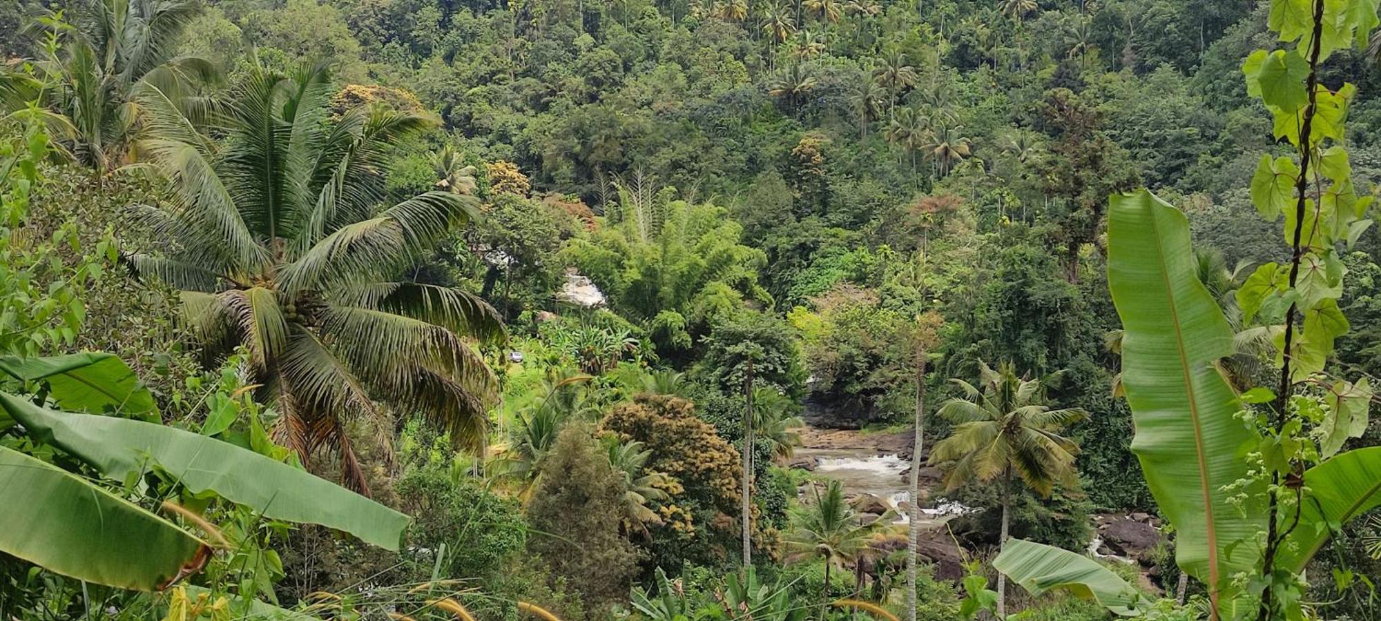 Munnar Village Homes ภายนอก รูปภาพ