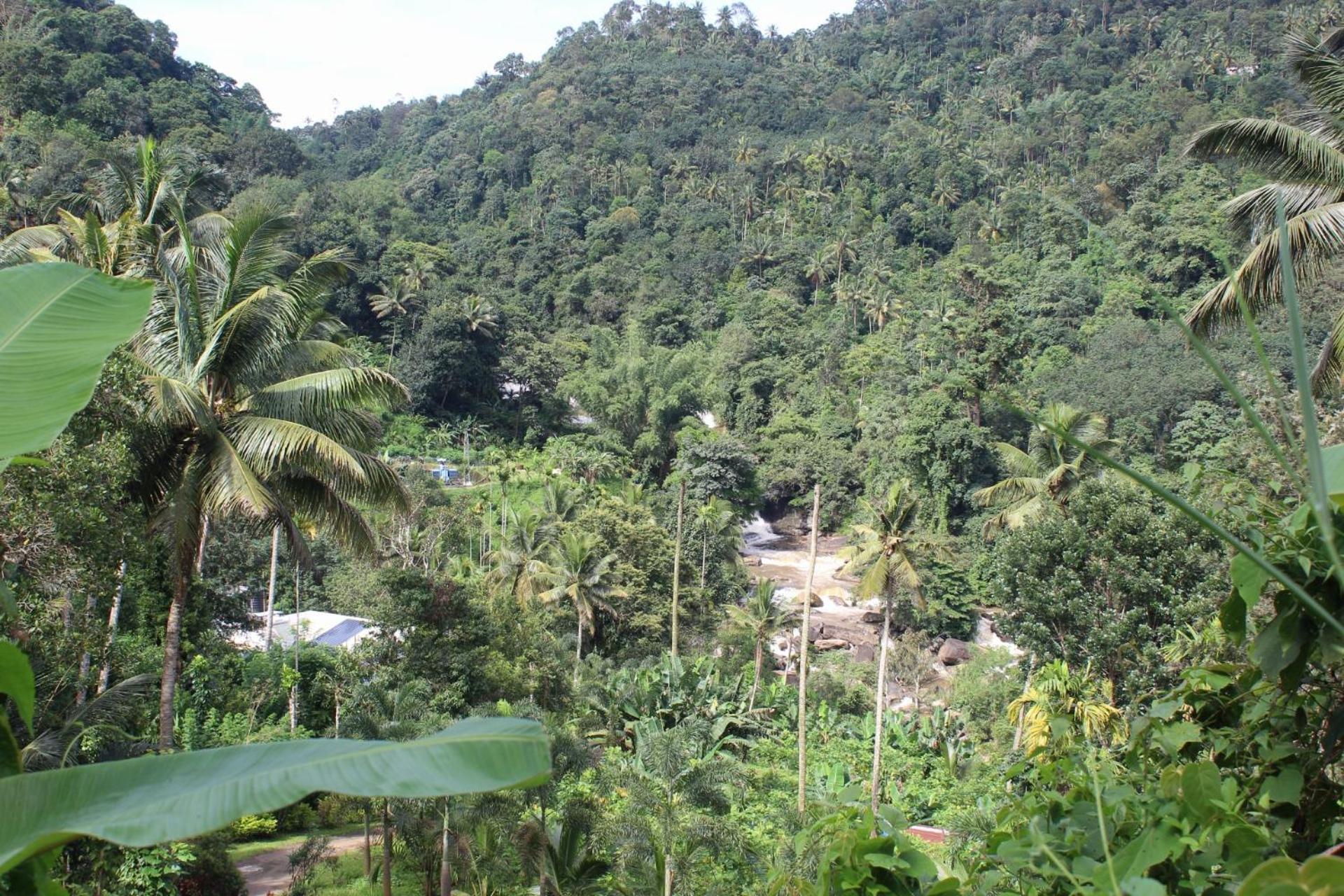 Munnar Village Homes ภายนอก รูปภาพ