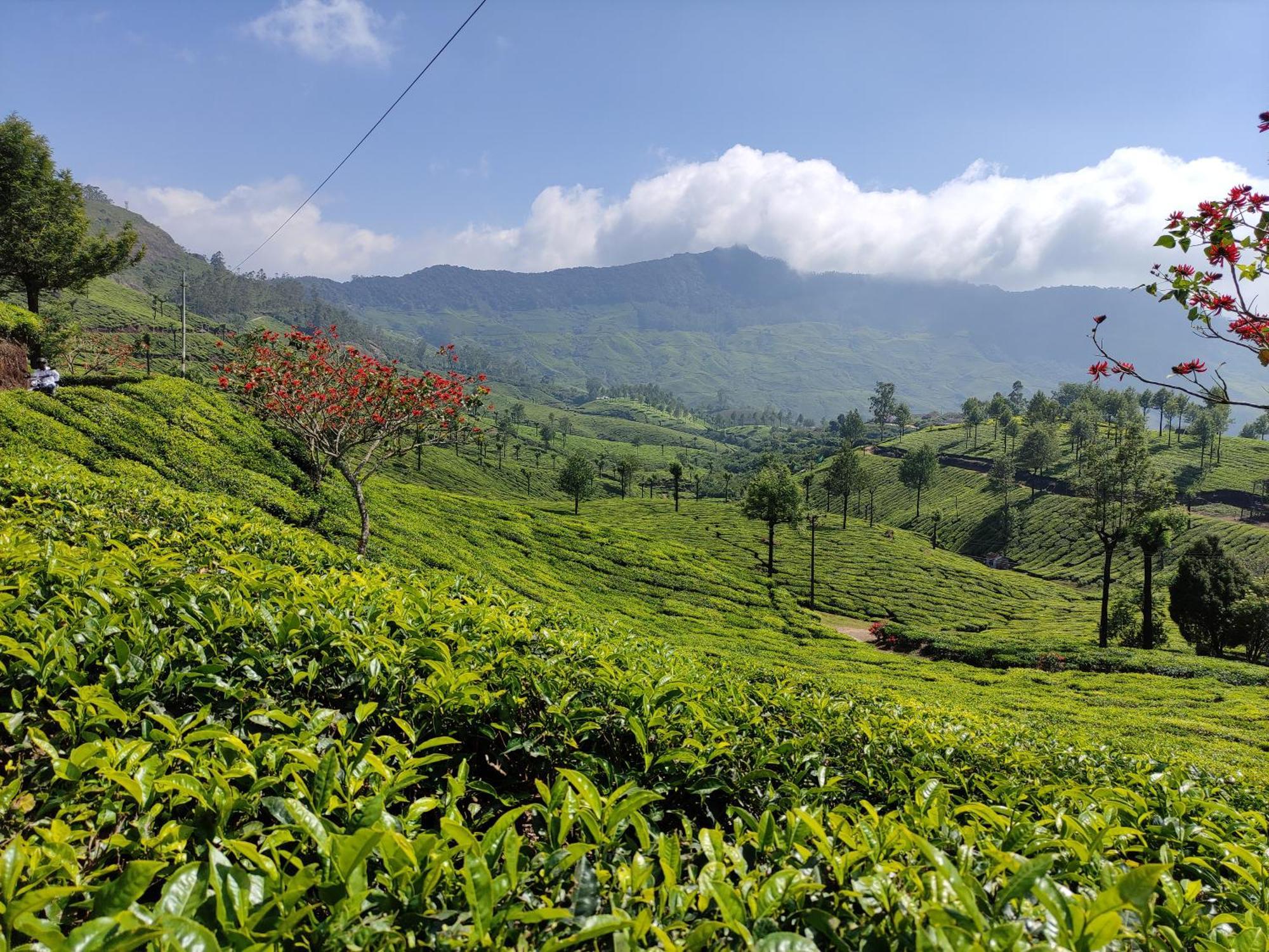 Munnar Village Homes ภายนอก รูปภาพ