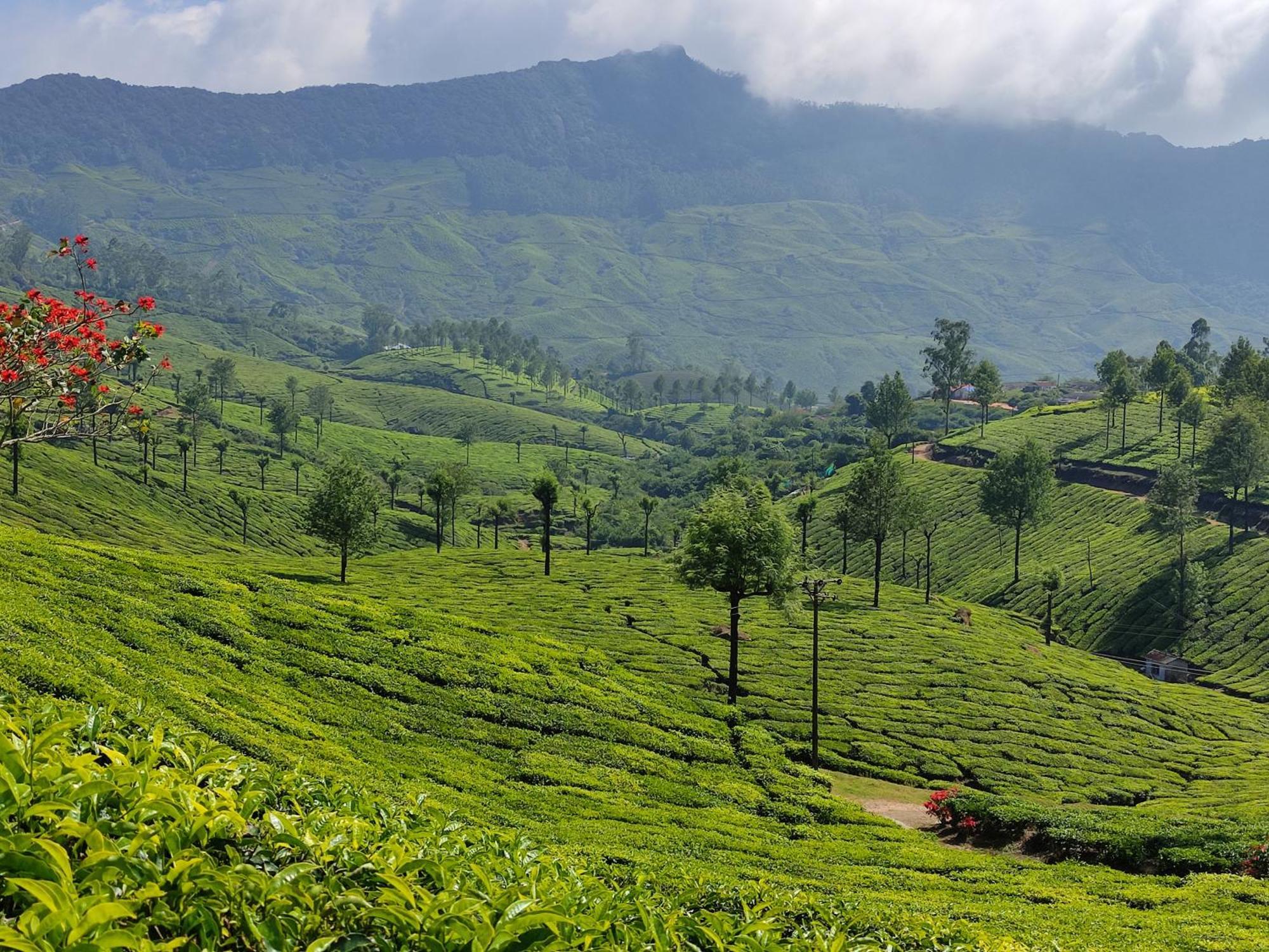Munnar Village Homes ภายนอก รูปภาพ
